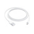Apple USB to Lightning Cable (1m)