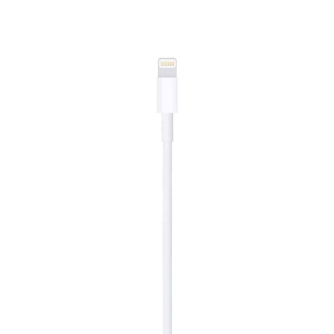 Apple USB to Lightning Cable (1m)