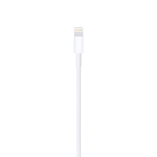 Apple USB to Lightning Cable (1m)